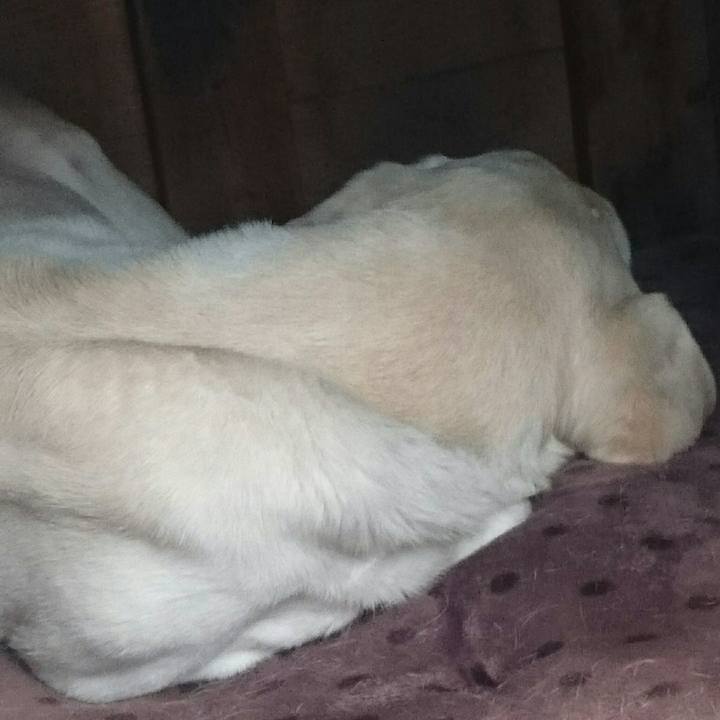 D1e6d923 9325 4acb 9ba7 0c642e3a19e9