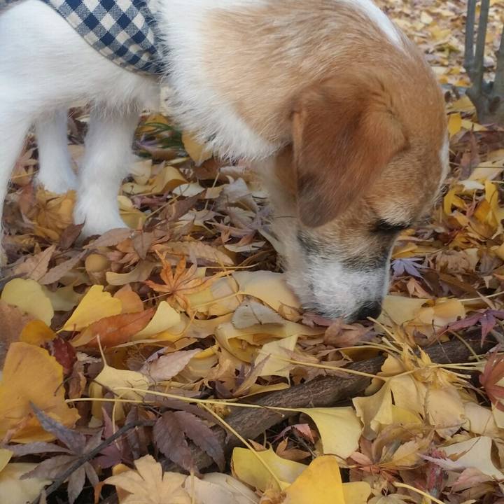 D1e77249 4ccc 4d45 8093 3926e11a1196