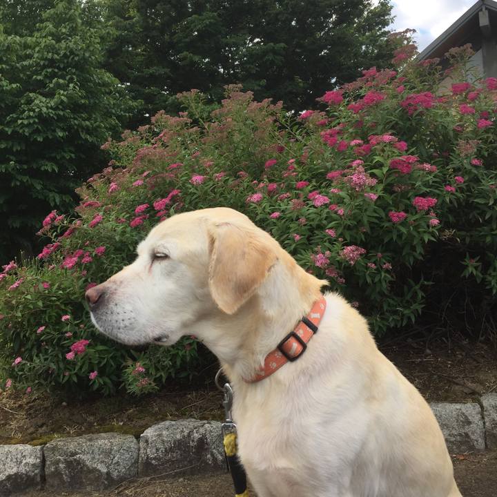 D1e782f2 f090 4134 991b 4da64b3dec07