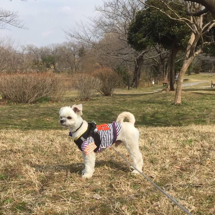 D1e7f07f 02d6 4e95 badc 3debcbc2e369