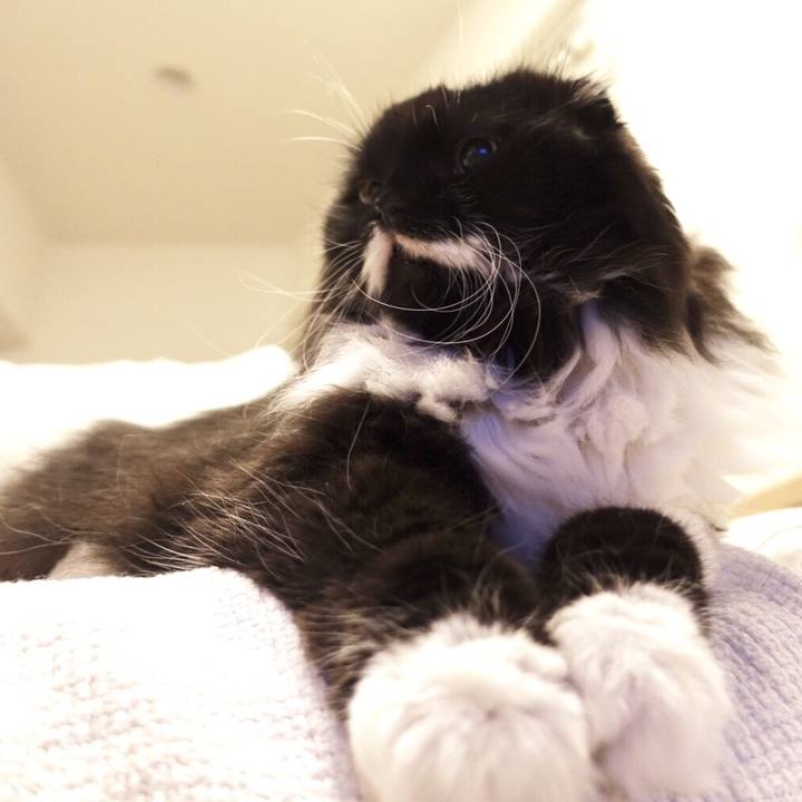 D1e85514 3e0c 40ba a9d0 a226e40f371c