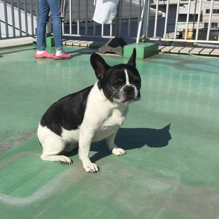 D1e85a3c 40a0 414e 901a a2e4fe3adbd5