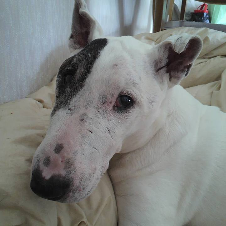 D1e8d3ae 1127 4954 a467 c8b8fa4744f5