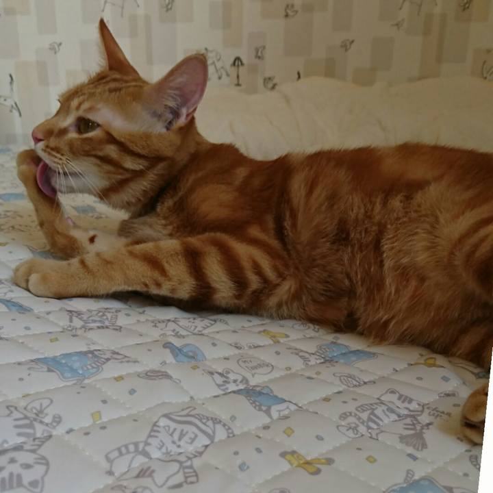 D1e99693 9a91 41fa adf1 ba39972ce60b