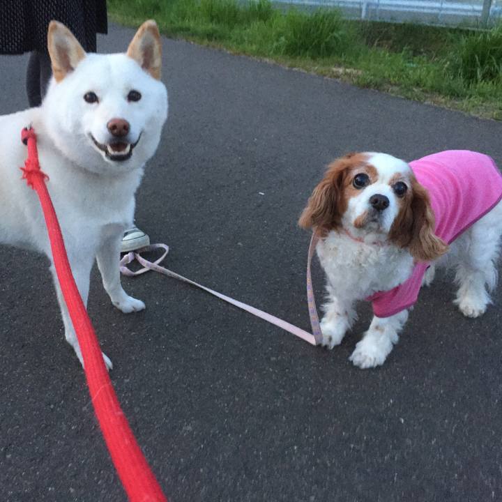 D1e99f3f f70d 4af3 bb54 e68945f4d3c0