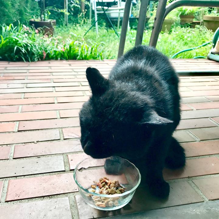 D1e9a732 e5fb 4ee6 8541 4762e66e36f1