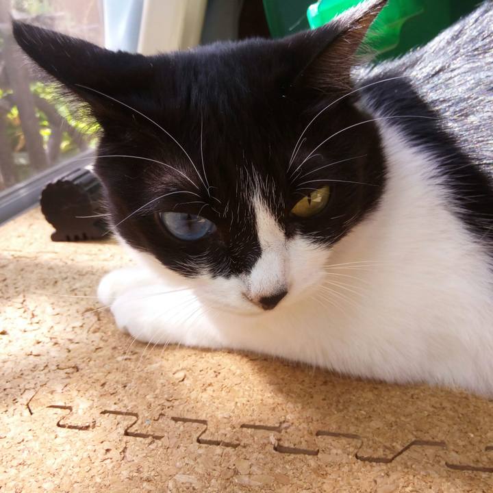 D1e9cd09 08d5 418a 9a2b b4ed6a6efaa9