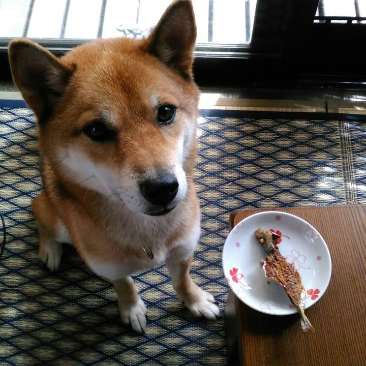 D1eac8d1 6595 409f 85d6 c7563088ed29