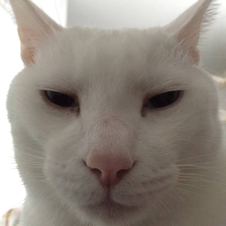 D1eb9dde 4fa7 4e5c 9cfe bb458b8305c3