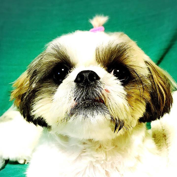 D1ec0783 0fa4 442f a5d3 9fb6076da1ba