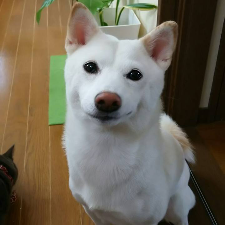 D1ecce53 bfe8 480b 9d4e 1035fd593bb7