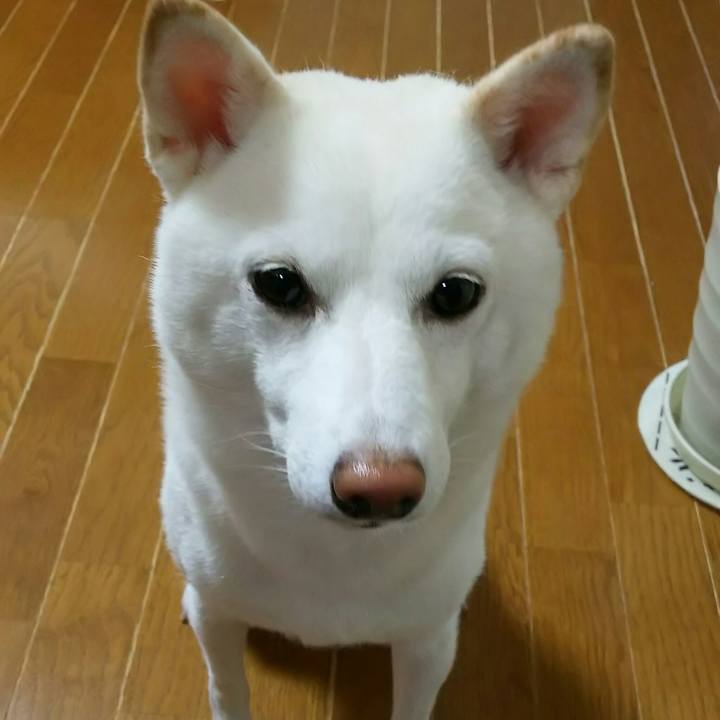 D1ecdf42 3e73 40df 92b0 1b3bb5a40466