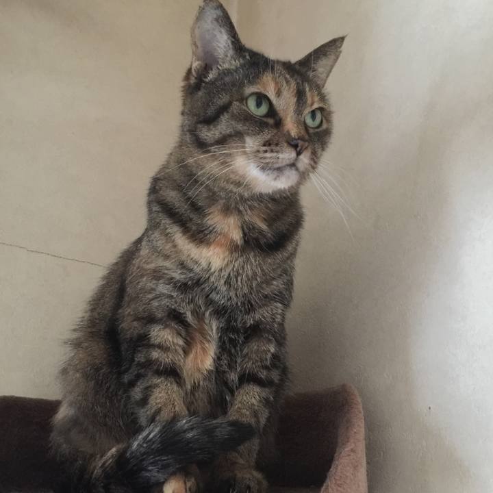 D1ed07f5 291d 4bbd 86ba fc0953fa01b3