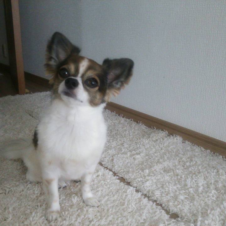 D1ed1e69 b169 41e0 bba3 db661dee9f00