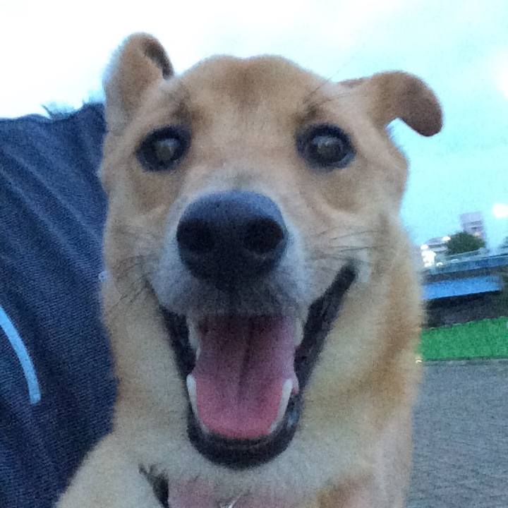 D1ed7619 5907 4cf5 8360 3404f6f13ad1