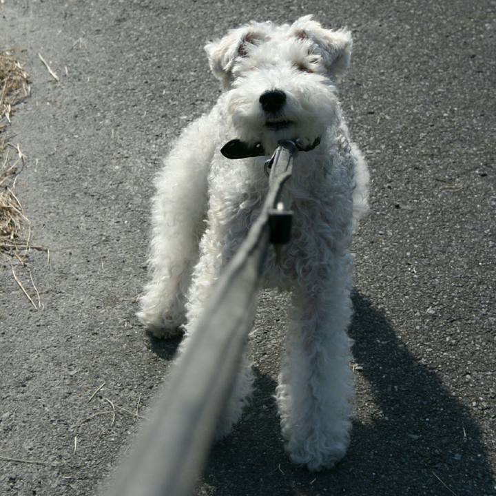 D1edca3a 569b 49cc 9435 08bcd8f0ee85