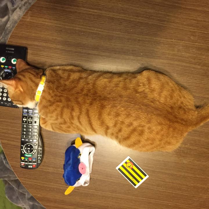 D1edfe32 0f8a 48f1 b31a 25cd763d7d19