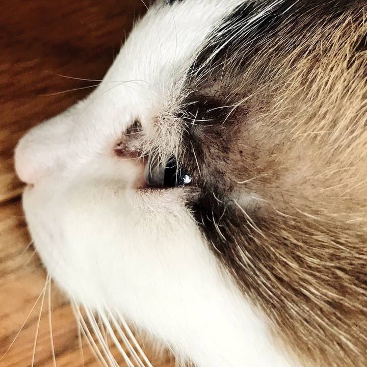 D1ef0802 c551 42d8 9462 024771058c5a