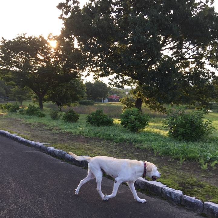 D1ef0d85 1a49 4821 8adf 007c57ae3b8b