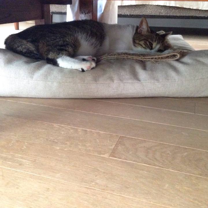 D1ef2613 0abd 48be b205 33467aa8ae9c