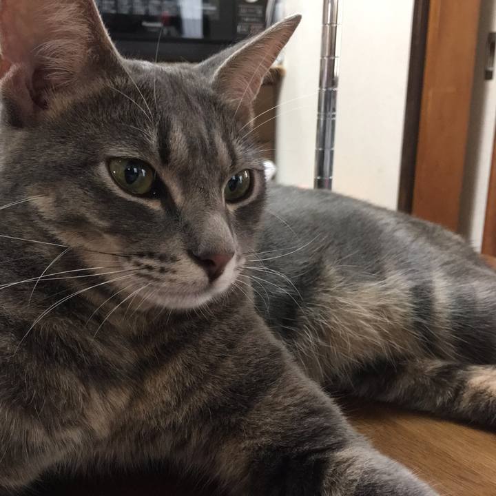 D1ef343f 3cb0 46c8 a35f 27be6a3ef4c0