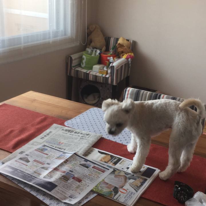 D1ef79b0 1b58 490c bba6 824c42b7bbb8