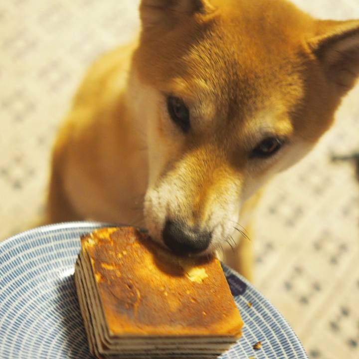 D1f00369 b223 4509 adae 2ad2e8f5dfcf