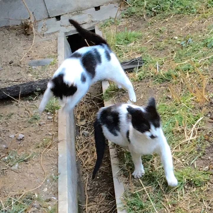 D1f02924 0e6a 45bb 945f bc5f20094f94