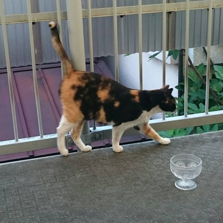 D1f03b27 9701 46ff be27 9ba4ee07f179