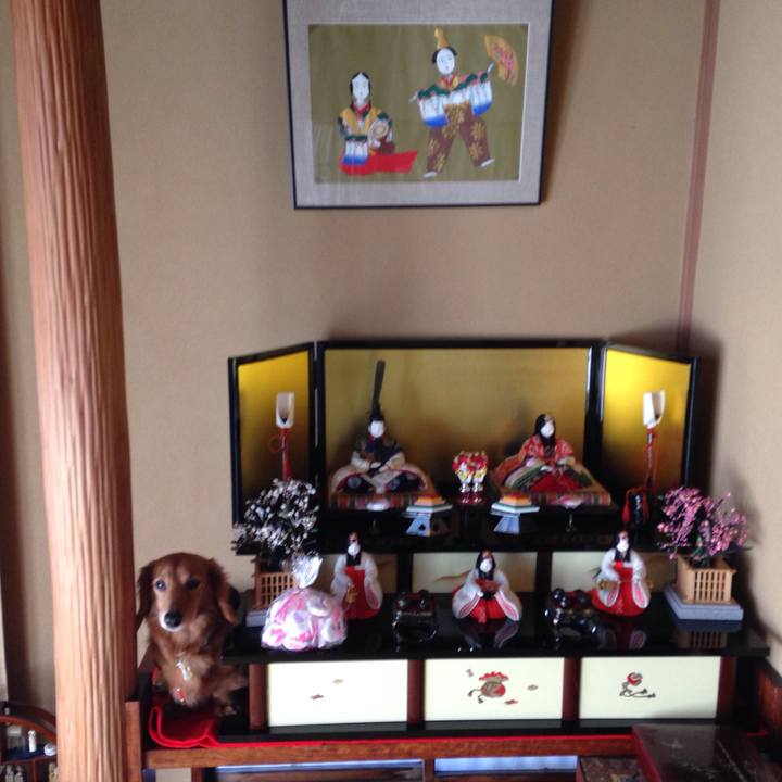 D1f06b2d d857 4e6e 8de0 50d1a43ef712