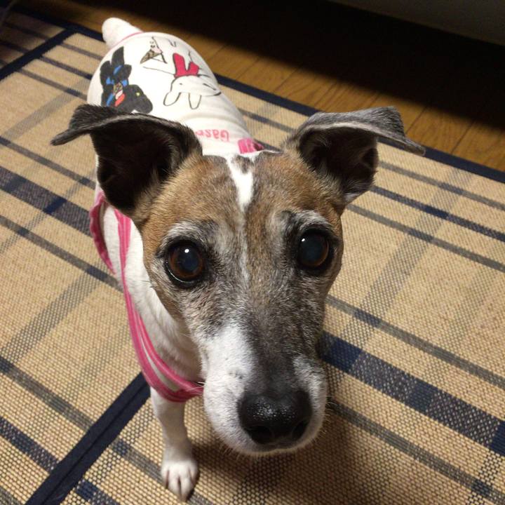 D1f0bc73 6833 48ec b995 4650738ee5fa