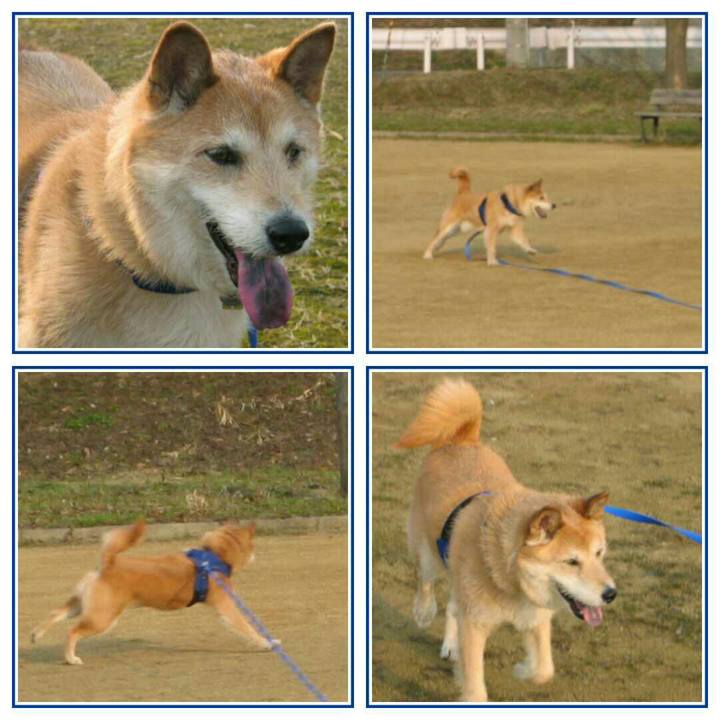 D1f10e71 c145 4d99 aaa9 fac739484072