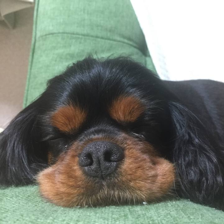 D1f139a5 6af0 4dd6 9b8d 67c4c143d5e1