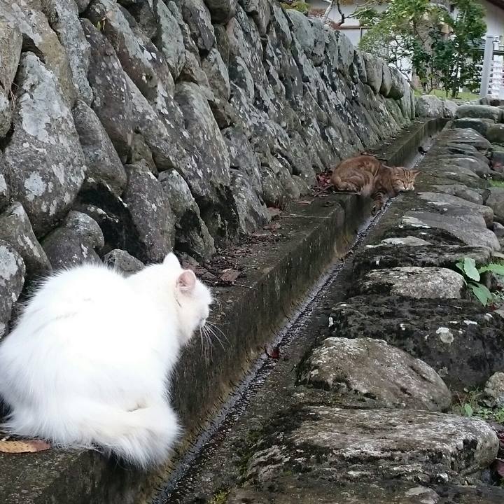 D1f14982 c4ef 43d8 b435 8abd590ce8b3