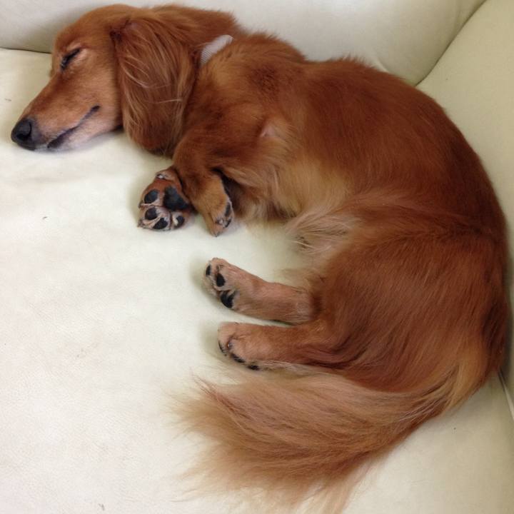 D1f16d85 bc37 4cc0 ad90 005b44f25367