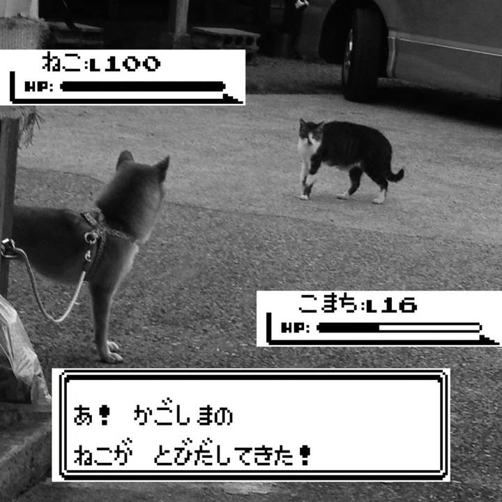 D1f1984b 8943 40f8 a880 17e741978175