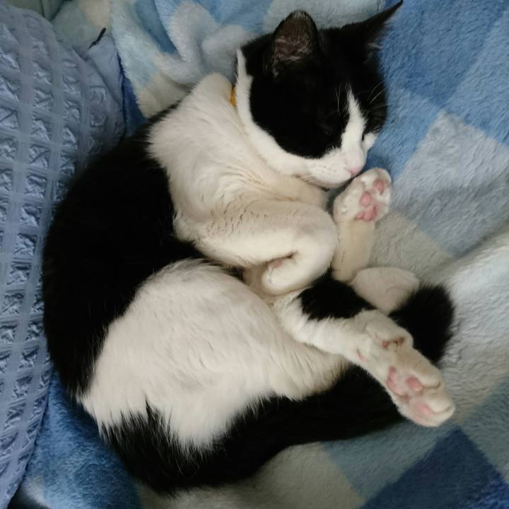 D1f1e455 cb28 4614 a490 4f6ddd32d78d