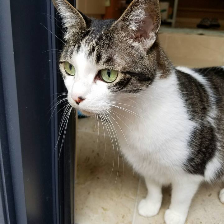 D1f20a14 fc31 413c b7eb bc27893faa71