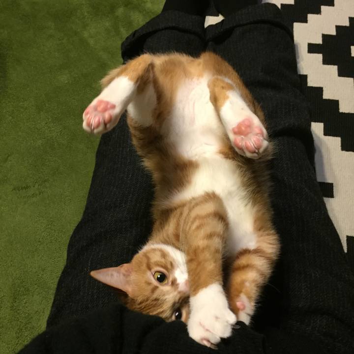 D1f22bfe c6b3 4143 a12b 2c0c6bf4e51b