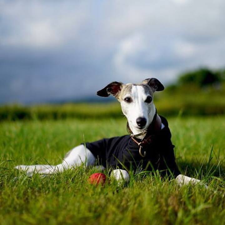 D1f24271 729b 408d a7b7 8de1c9eddbfb