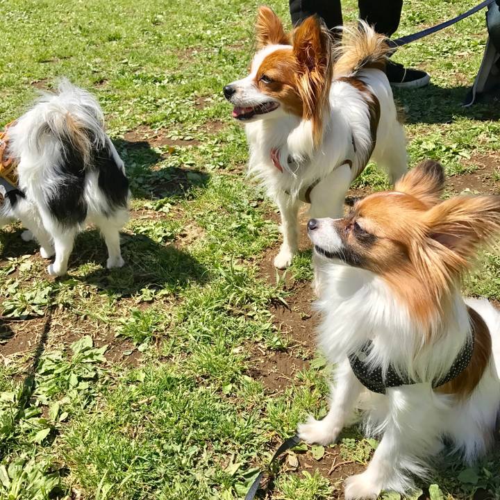 D1f37e64 faf3 4007 933a 0dbaa4170ca7