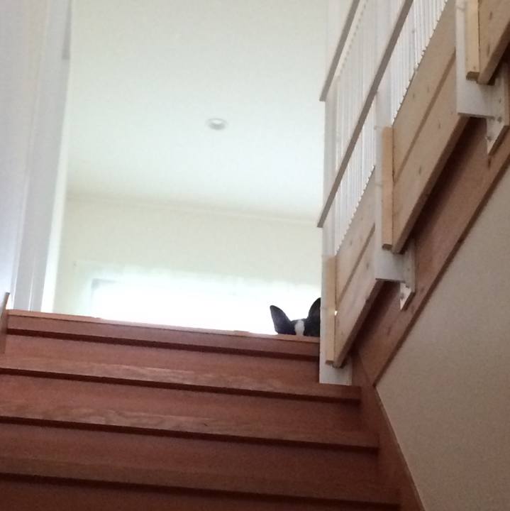 D1f38a38 15a0 45a9 89fb de1c0b0a8ec8