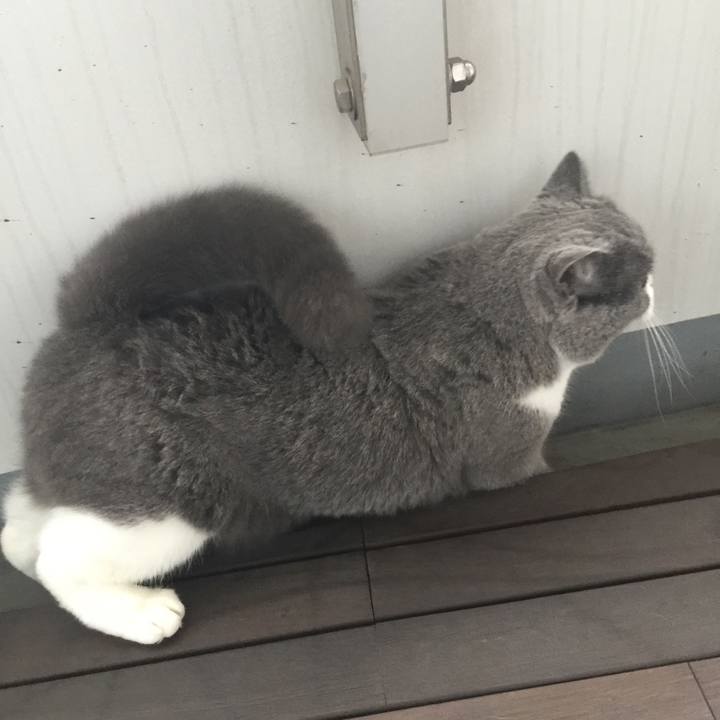 D1f49344 4772 47f8 afc8 86f64f3a6929