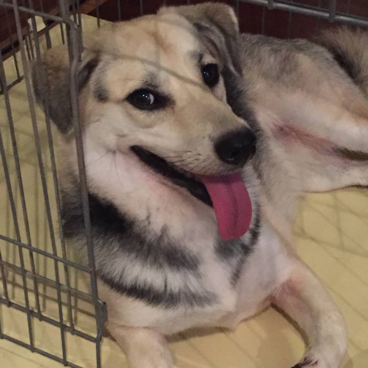 D1f4b5a7 37f8 41c0 9e00 8f81f171fbfe