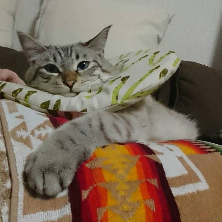 D1f4d66e 678b 422b 88a7 aa9cbf154237