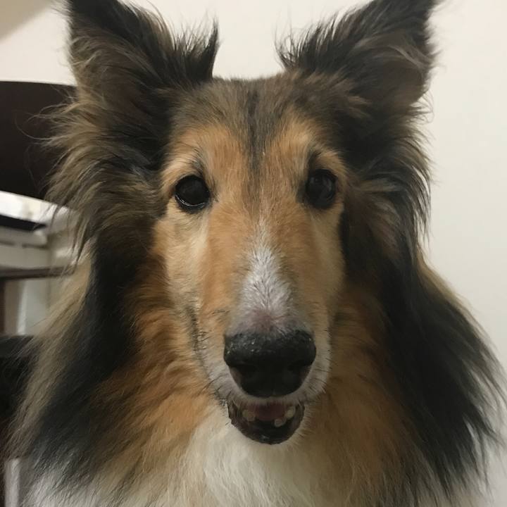 D1f5b703 80ac 4ac4 8165 aa270f98fb17