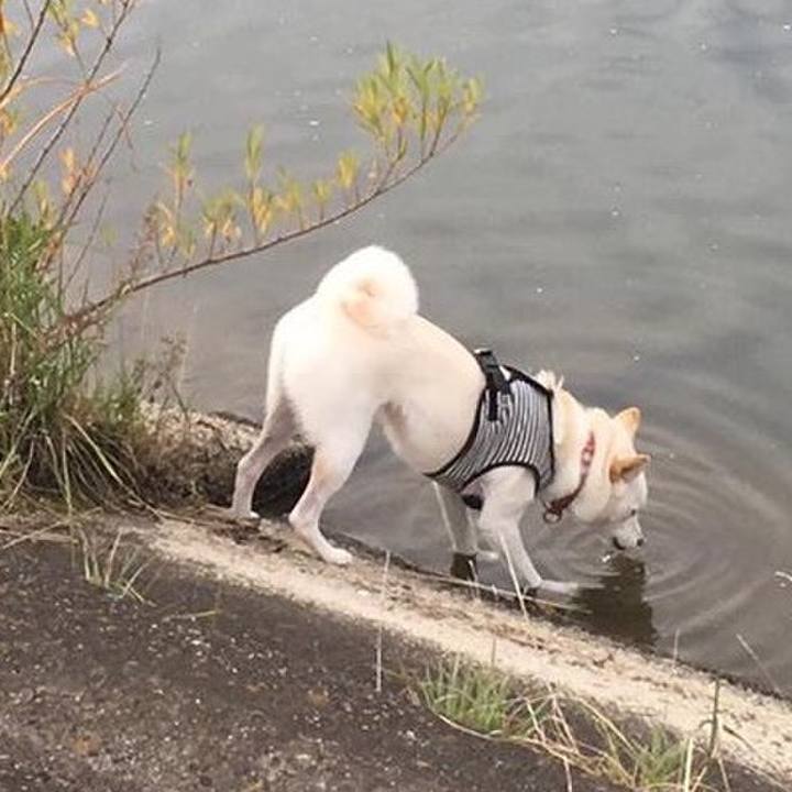 D1f5cc2e 6edd 408c 8b89 e22ff2a0ac0c