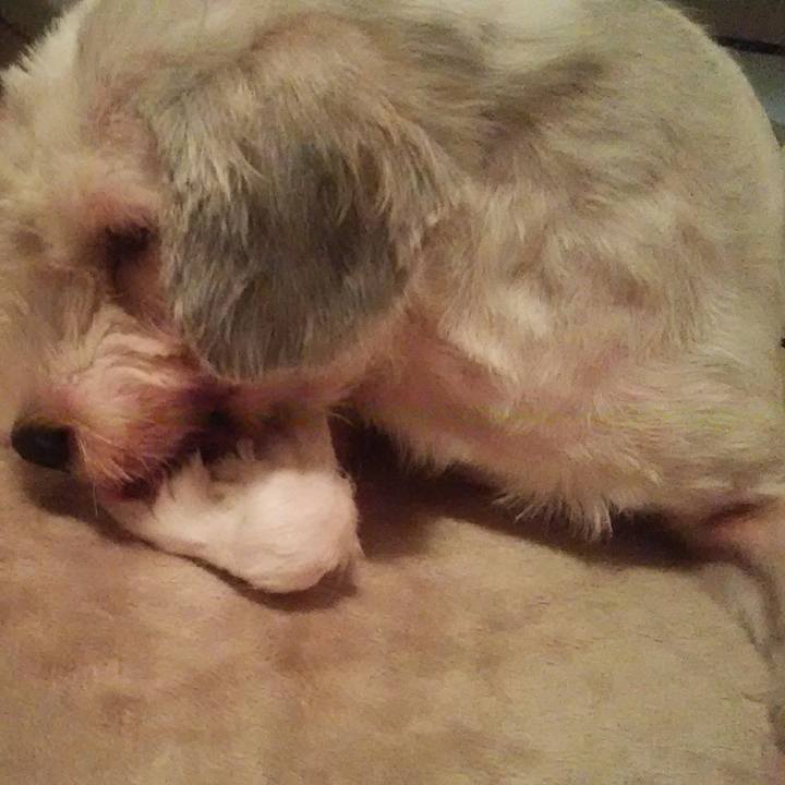 D1f5fd3c b950 4b2c 9dc7 cc0fb75116ae