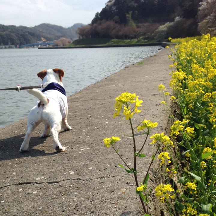 D1f68744 e146 434e b043 190211cac94d