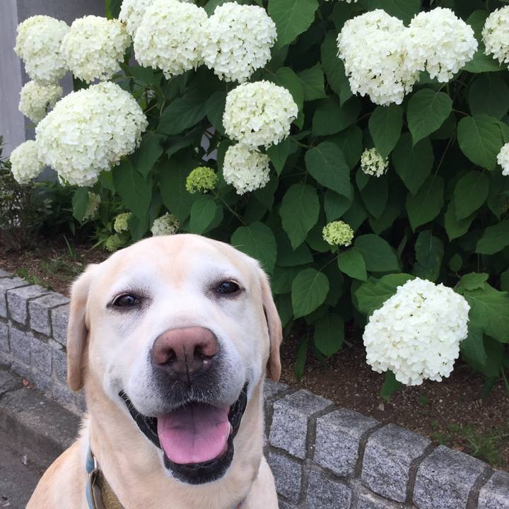 D1f69327 85ab 4d5d b3ed 6632b9ff92d2